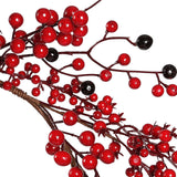 Red berries on a branch with a white background
