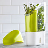 Herb container with fresh herbs on a kitchen counter.