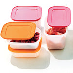 Small Freezer Containers with Lids