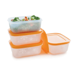 Small Freezer Containers with Lids